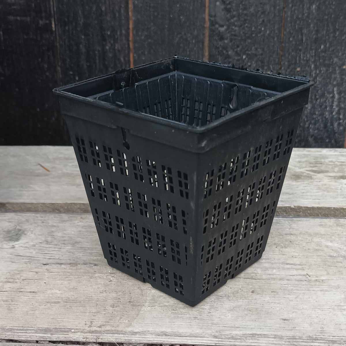 4" square perforated grow basket Left Coast Bonsai
