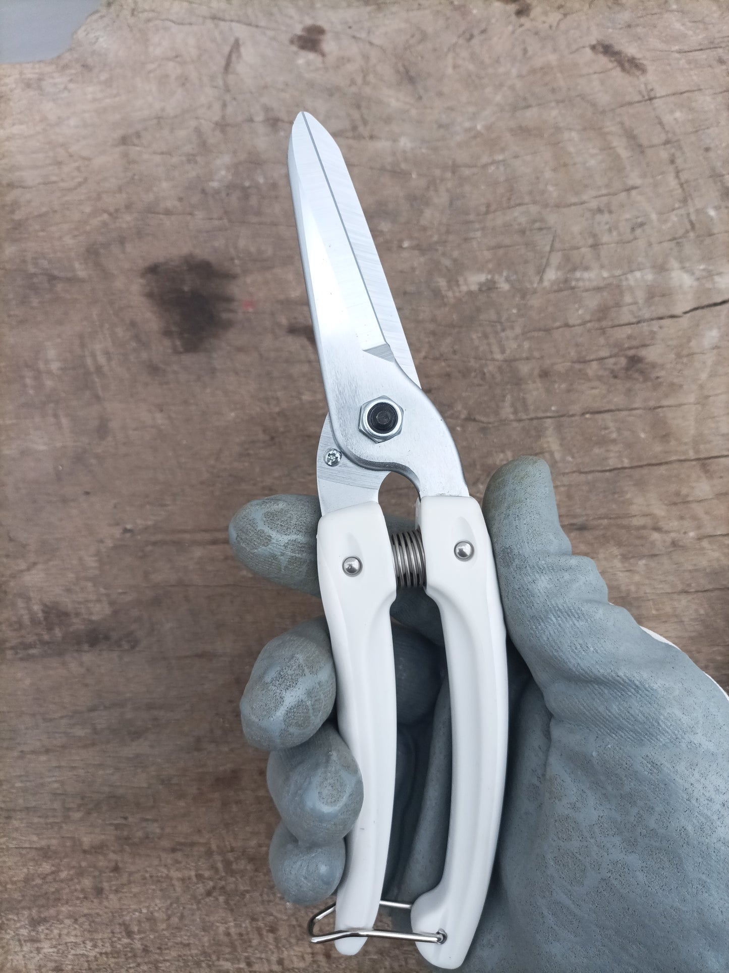 Pruners