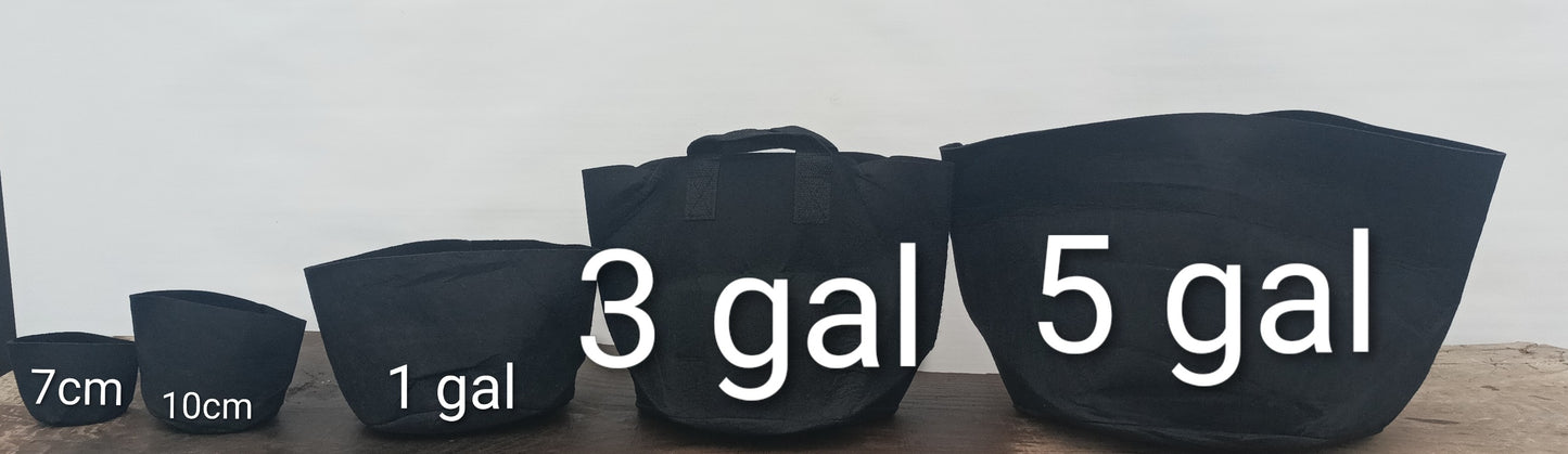 Felt Grow Bag - 10 cm - Pack of 20