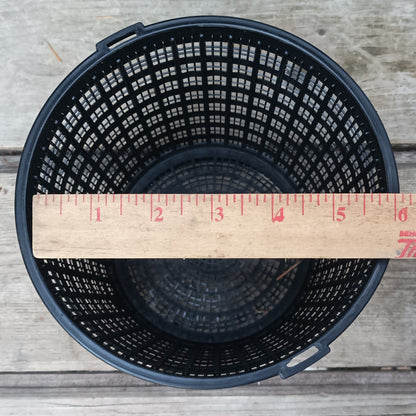 6" round perforated grow basket