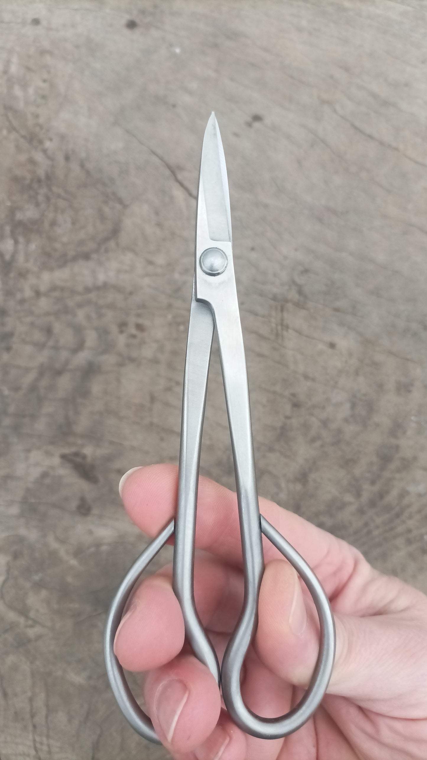 Bonsai Scissors