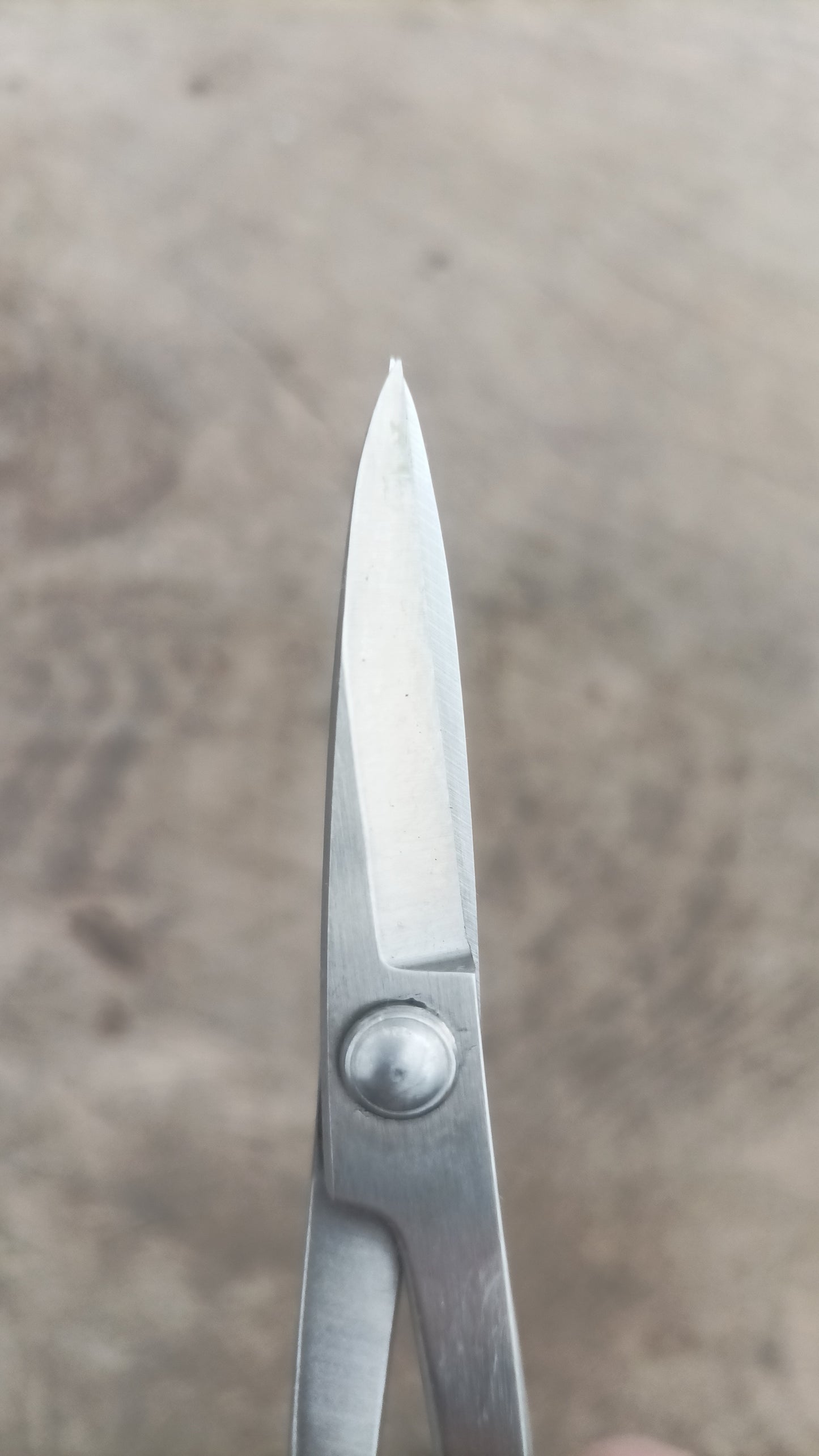 Bonsai Scissors