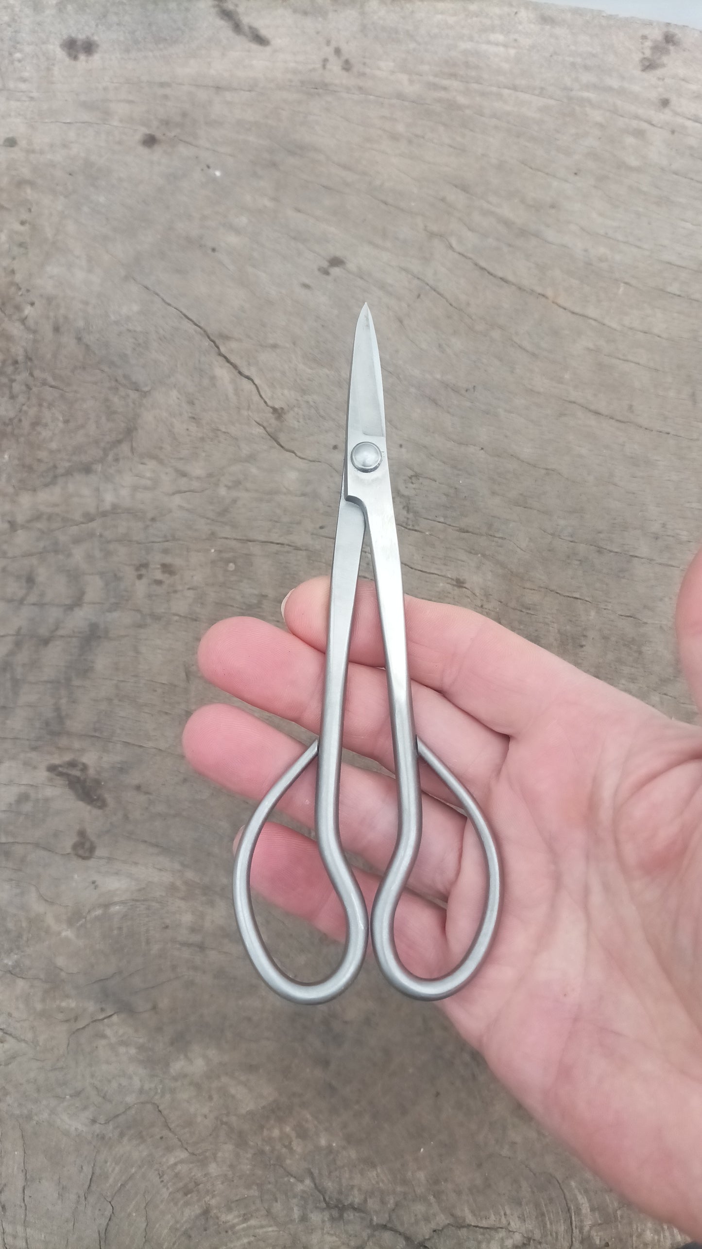 Bonsai Scissors