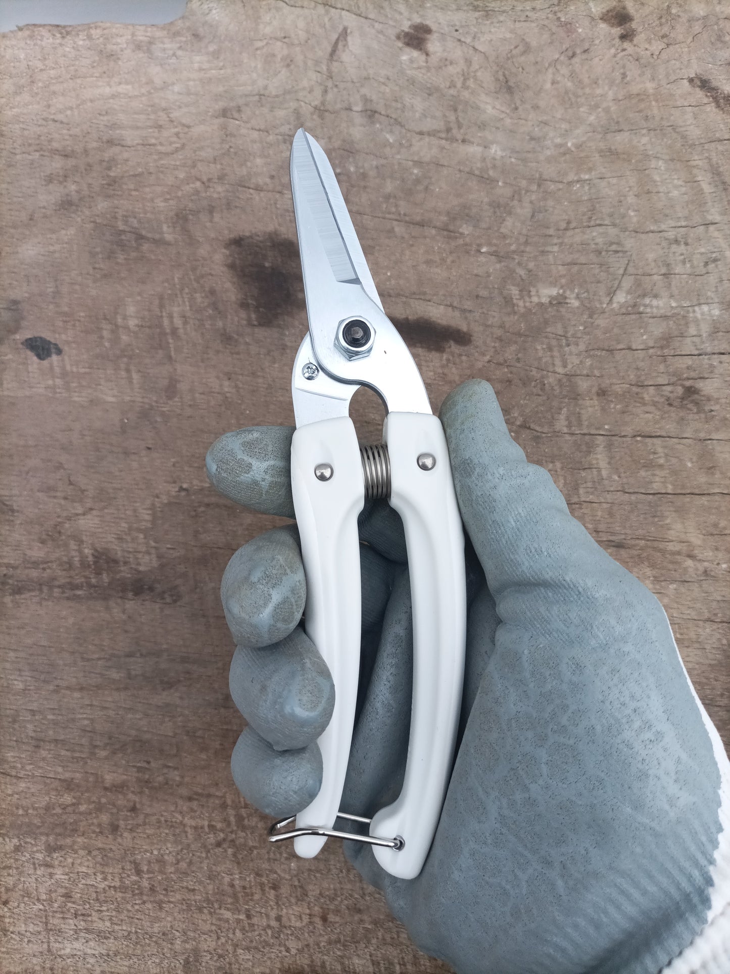 Pruners