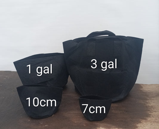 Felt Grow Bag - 3 gal - pack of 5