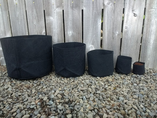 Felt Grow Bag - 7 cm - Pack of 20