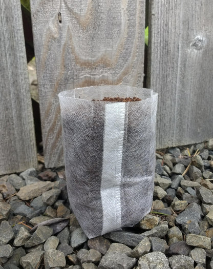 Biodegradable Seedling Bags - 2 sizes - Pack of 100