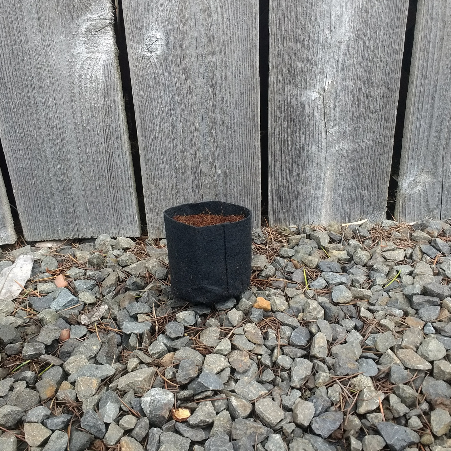 Felt Grow Bag - 7 cm - Pack of 20