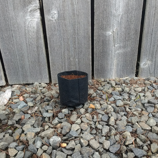 Felt Grow Bag - 7 cm - Pack of 20