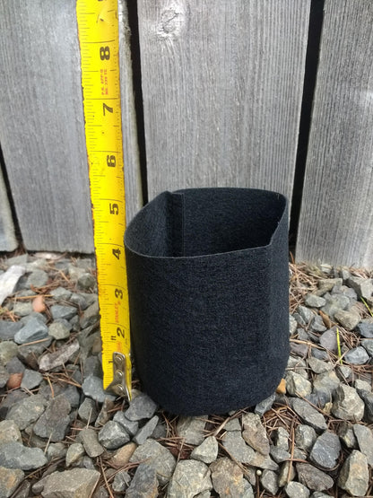 Felt Grow Bag - 10 cm - Pack of 20