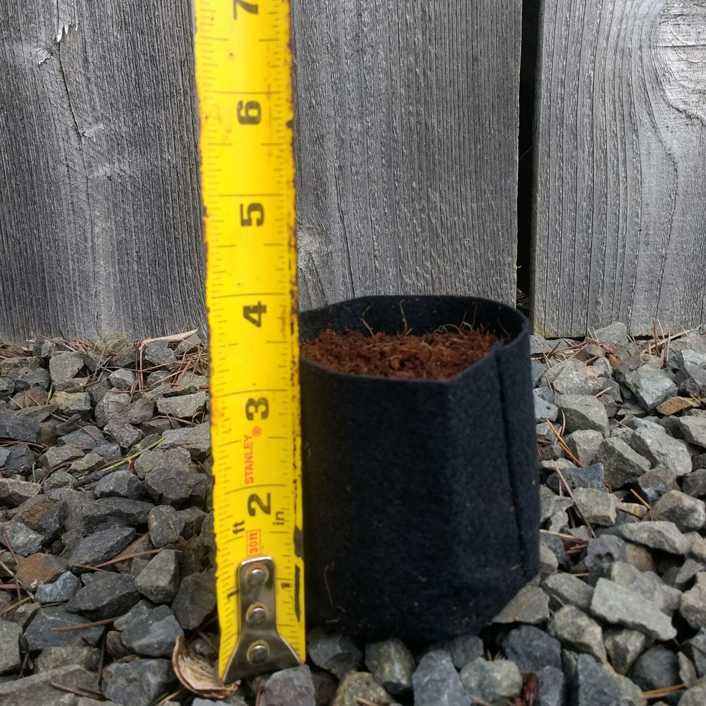 Felt Grow Bag - 7 cm - Pack of 20